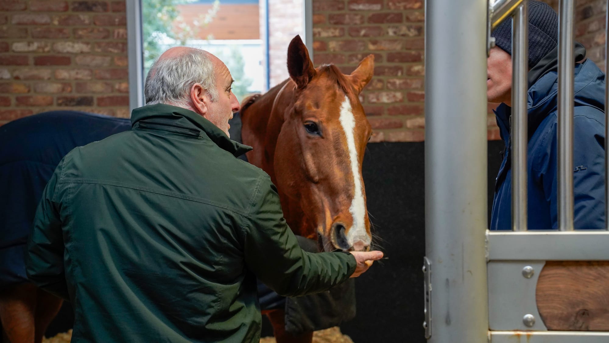 King Edward the horse