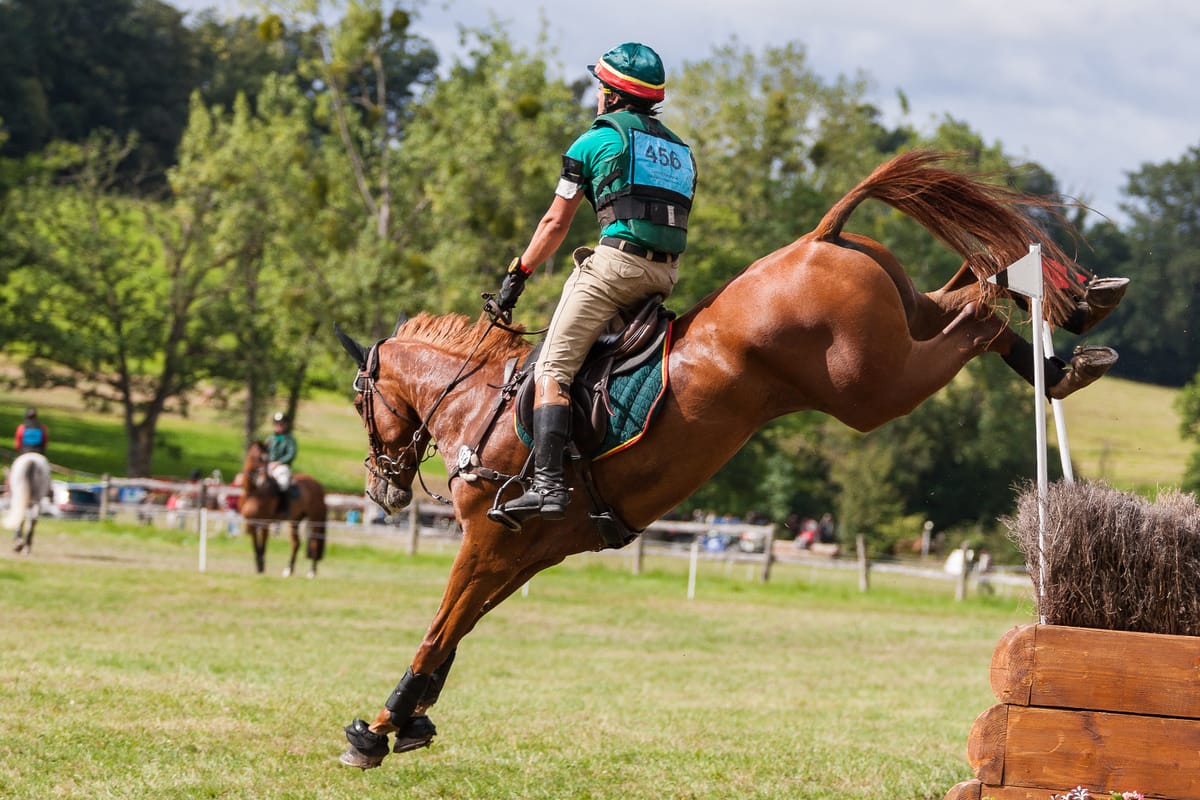 FEI Eventing European Championship 2027 – Bidding Reopened