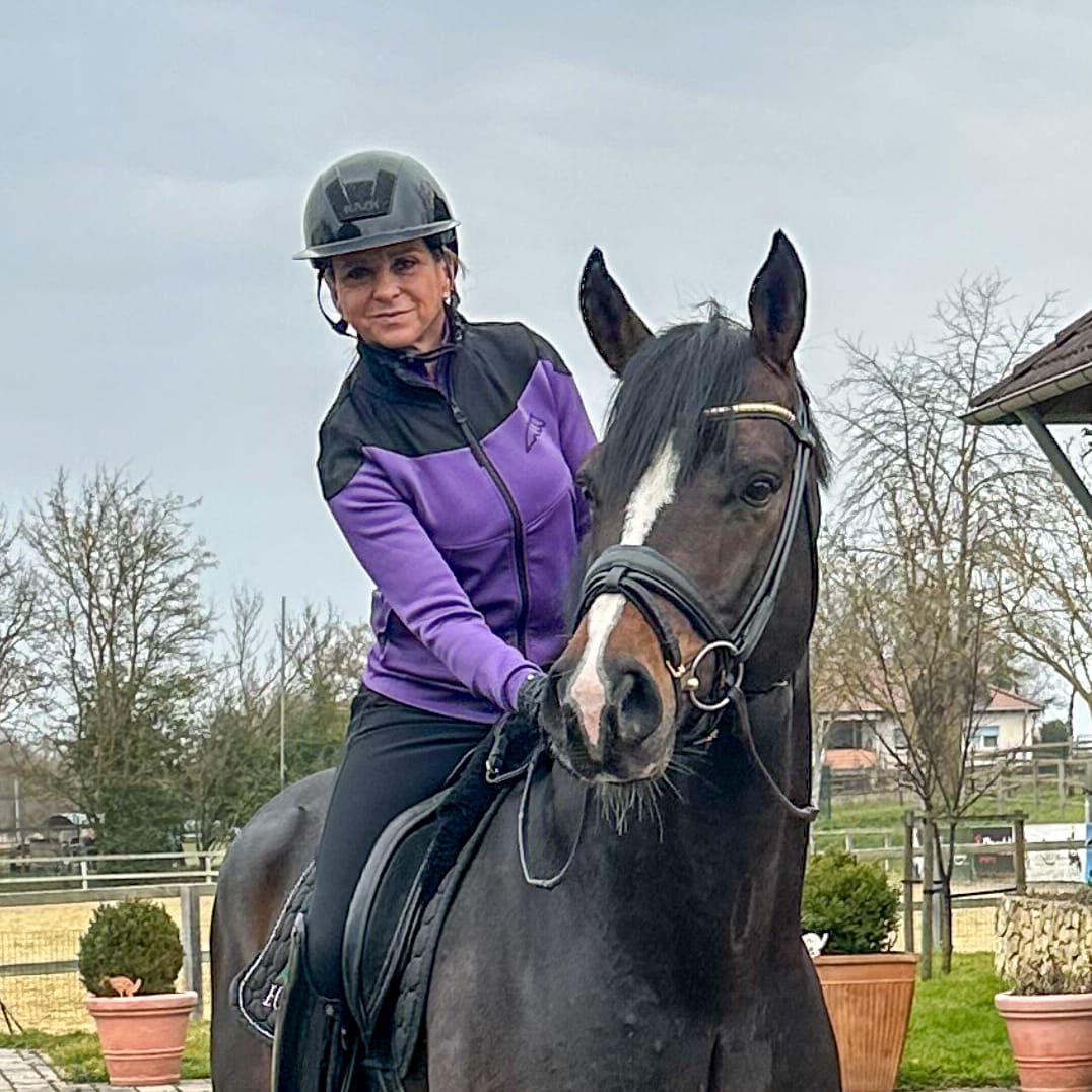 New arrival Elastic strengthens Famos Stud's stallion line-up