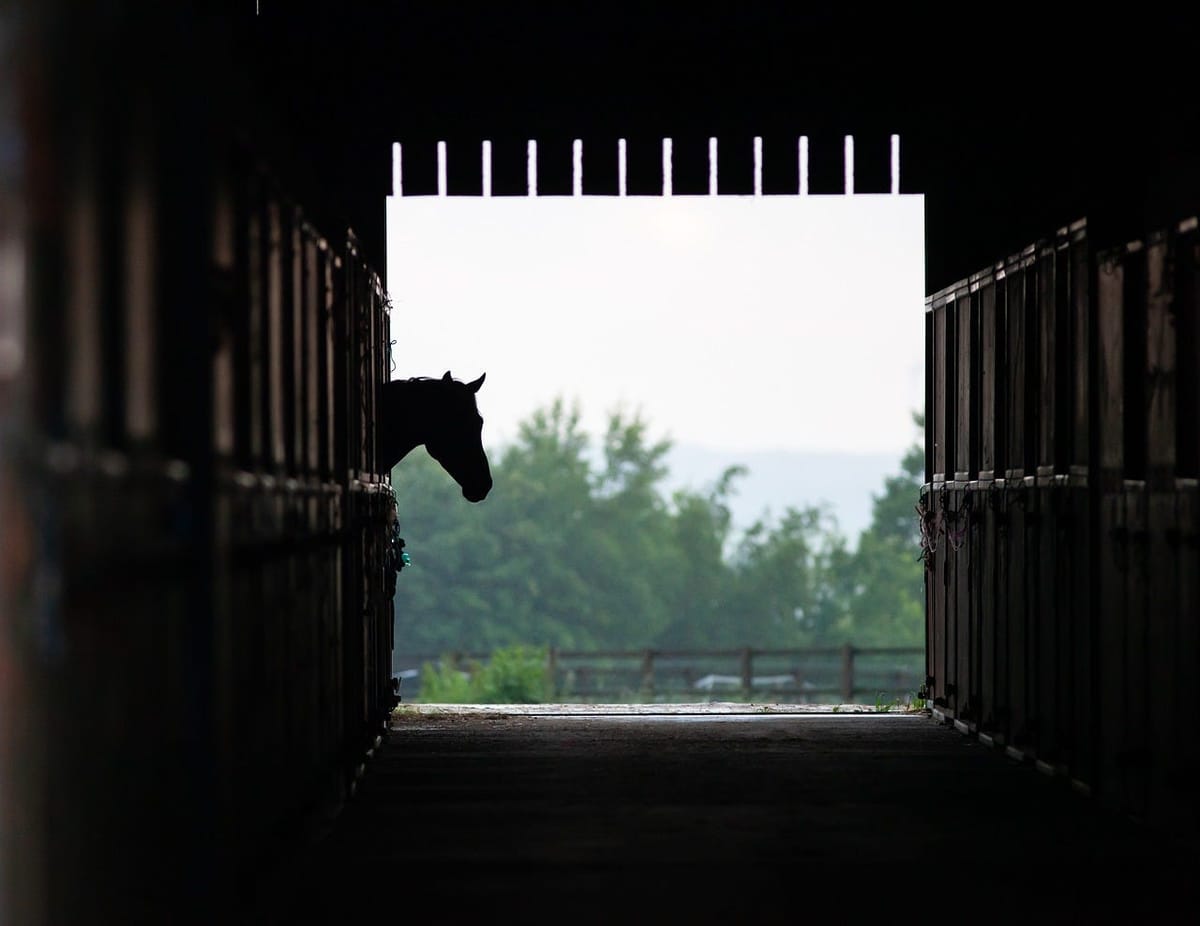 Eric Lamaze Breaks His Silence
